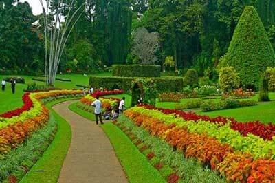 Classic Ceylon Tours Botanical Garden |  achinilankatravels.com