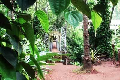 Matale Spice Garden | achinilankatravels.com