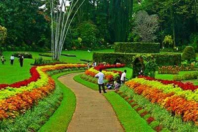 Peradeniya Botanical Garden | achinilankatravels.com