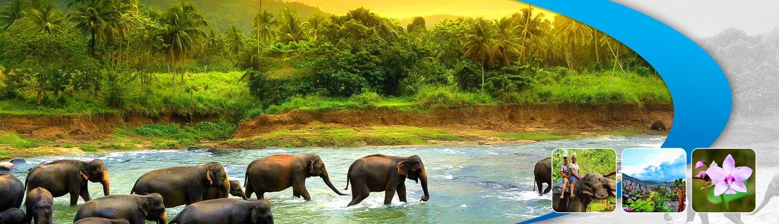 3 Days Tour Package in Sri Lanka | achinilankatravels.com