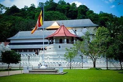 Kandy Day Excursions | achinilankatravels.com