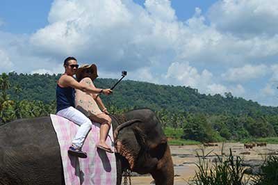 Feeding milk to baby elephants in pinnawala | achinilankatravels.com