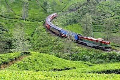 Achini Lanka Travels Nuwara Eliya | achinilankatravels.com
