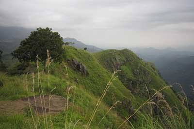 Little Adamas Peak Ella | achinilankatravels.com