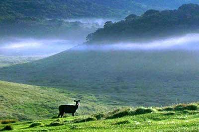  Horton Plains Nuwara Eliya | achinilankatravels.com