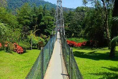 Peradeniya Botanical Garden | achinilankatravels.com