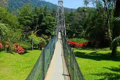 Botanical Garden |achinilankatravels.com