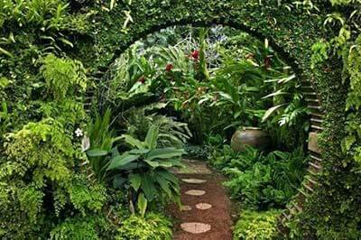 Matale Spice Garden  | achinilankatravels.com