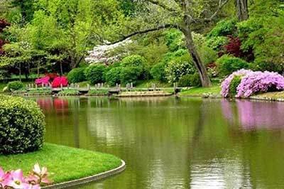 3 Days Tour Package Botanical Garden | achinilankatravels.com