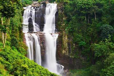 3 Days Tour Package Tea Factory | achinilankatravels.com